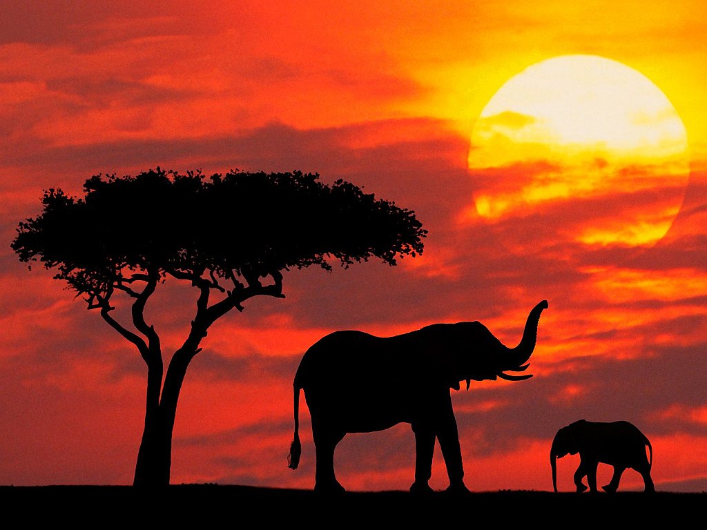 Mother and Baby Silhouetted at Sunrise, Kenya